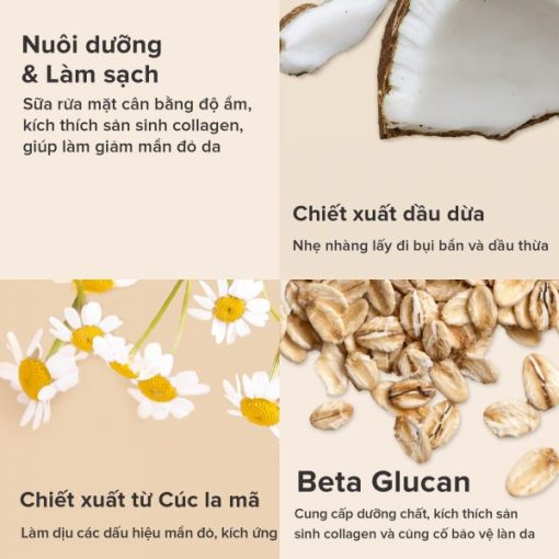 Sữa rửa mặt phục hồi và làm mềm da Skin Recovery Softening Cream Cleanser BeautyChic - Hình ảnh 4